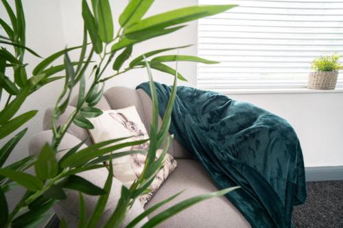 Gallery image of Charming Semi with KingBed and Cozy Interiors in Blackburn