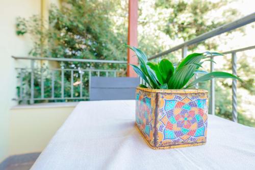 a potted plant sitting on top of a table at Agriturismo La Genziana in Alghero