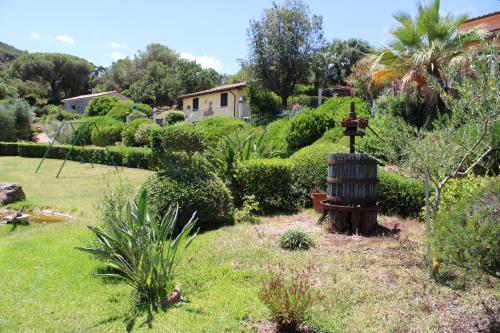 Ein Garten an der Unterkunft C'era una volta Frantoio
