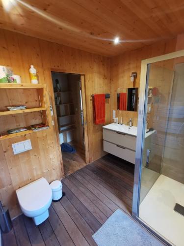 une salle de bain avec toilettes, lavabo et douche dans l'établissement Les IRIS des Rieux, à Sallelles