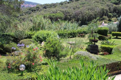 Ein Garten an der Unterkunft C'era una volta Frantoio