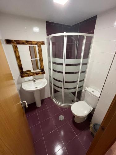 a bathroom with a shower and a toilet and a sink at Fonte da Horta in Arteixo