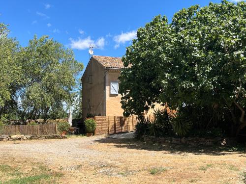 an old barn with a tree in front of it at SCI Domaine Saint Martin le grand in Béziers