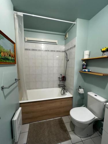 une salle de bain avec une baignoire, des toilettes et un lavabo dans l'établissement Studio cosy 15 mins de Paris centre, à Asnières-sur-Seine