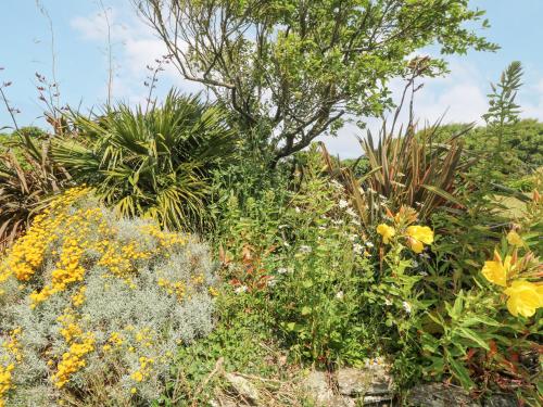 a garden with many different types of plants and flowers at Seaport Lodge in Mawgan Porth