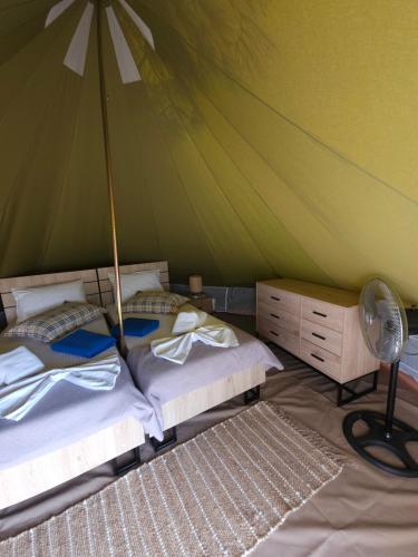 two beds in a room with a green tent at Ioannina Camping- Glamping in Neo Mpizani