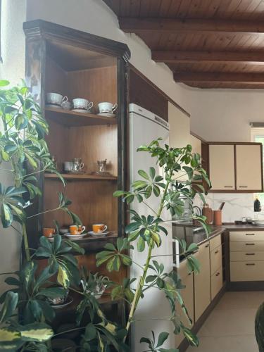 Кухня или мини-кухня в Classic apartment Meronas
