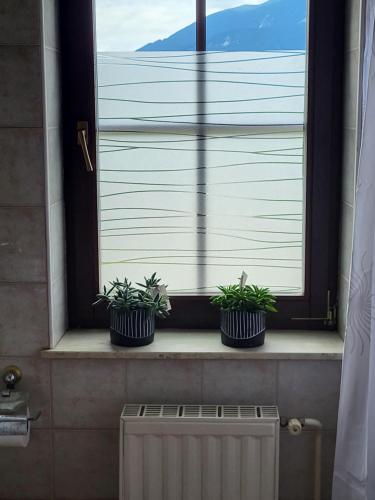three plants sitting on a window sill next to a radiator at Apartments Vidmar near Bled in Lesce
