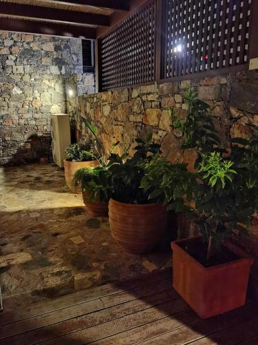 a group of potted plants in a room with a stone wall at Andromeda Sea View Villa in Epáno Eloúnda
