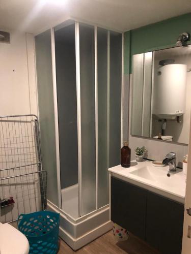 une salle de bain avec douche et lavabo dans l'établissement La Bichetière cœur de ville, à Granville