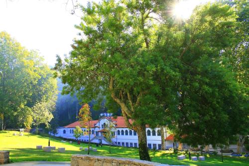 une grande maison blanche avec un arbre devant dans l'établissement Flat Accommodation in Braga, à Braga