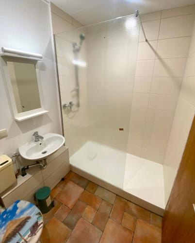 a bathroom with a shower and a sink at Tiny House Zur Alten Sparkasse in Groß Garz
