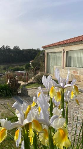 Κήπος έξω από το Quinta de VillaSete