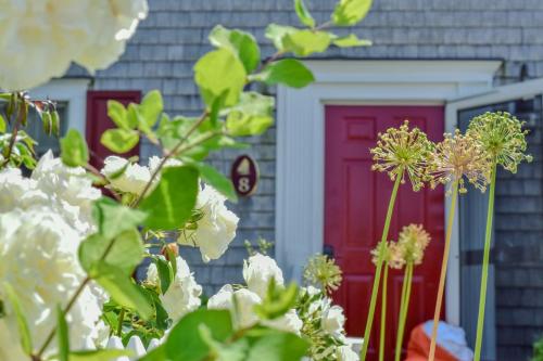 a red door with white flowers in front of a house at Walk to Main St and Oyster Pond in Chatham in Chatham