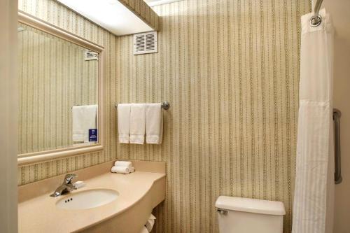 a bathroom with a sink and a toilet and a mirror at Hilton Garden Inn St. Louis/Chesterfield in Chesterfield