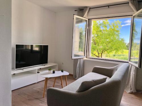 salon z kanapą, telewizorem i dwoma oknami w obiekcie Guest Accommodation Grozdanić w mieście Dubravice