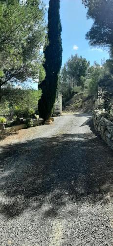 Photo de la galerie de l'établissement Villa Bellevue, à Roquefort-des-Corbières