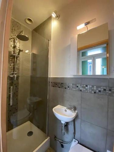 une salle de bain avec un lavabo et une douche dans l'établissement Studio cosy et fonctionnel en centre ville, clinique et tram à 5mn, sItuation idéale !, à Castelnau-le-Lez