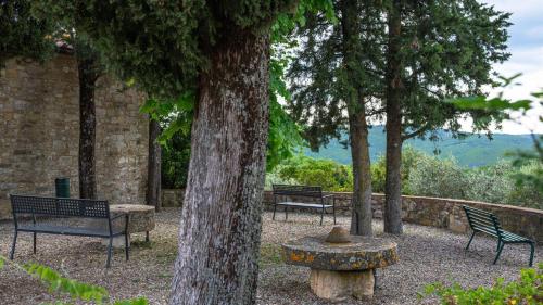 a group of benches sitting next to a tree at Bella Vista in Gaiole in Chianti