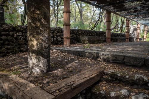 Φωτογραφία από το άλμπουμ του Parco Statella σε Montelaguardia