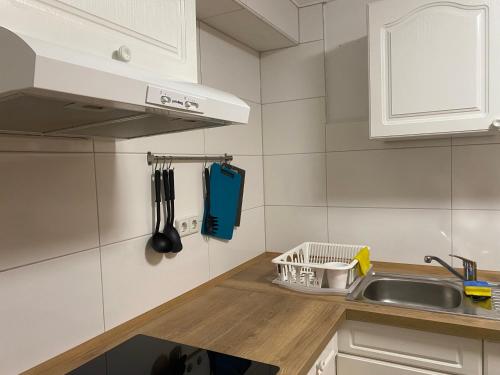 kuchnia ze zlewem i blatem w obiekcie An Ferienwohnung w Lipsku