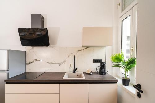 Η κουζίνα ή μικρή κουζίνα στο HL Apartments