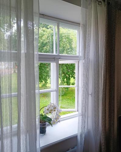 a window with white curtains and a plant on a window sill at Marta's Apartment in Kuldīga