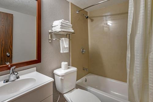 a bathroom with a toilet and a sink and a shower at Rodeway Inn Clermont - Minneola - Groveland - Leeseburg in Clermont