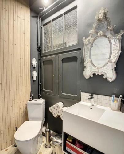 une salle de bain avec toilettes, lavabo et miroir dans l'établissement T3 centre historique, 90m2, clim, terrasse, 4 pers, à Avignon