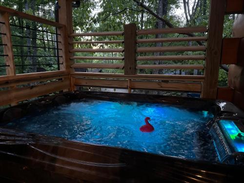 Emerald Forest! Romance, Luxury and nature mins to PF and GB photo 5