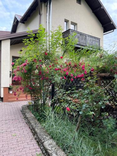 a garden with pink flowers in front of a house at Szczawnica - Pokoje z widokiem na góry in Szczawnica