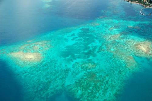an aerial view of a reef in the ocean at Village Creole in Les Trois-Îlets