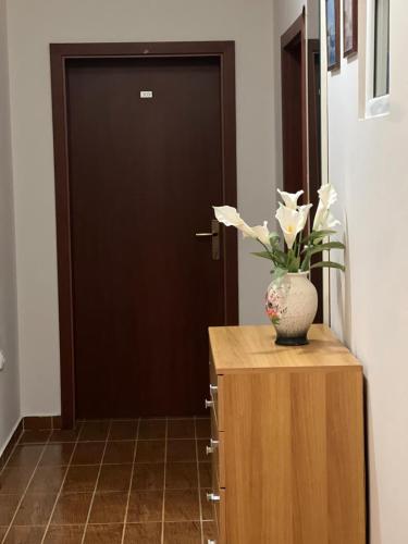 Fotografie z fotogalerie ubytování Villa Pelinku v destinaci Ulcinj