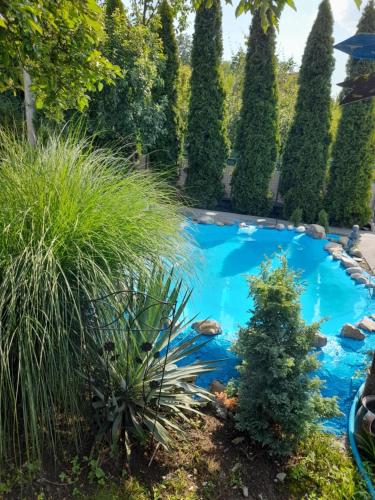 a swimming pool in a garden with trees and bushes at Sweet dreams in Zaječar