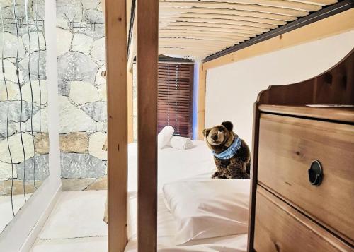 - un chien pug assis sur un lit dans une chambre dans l'établissement Résidence Le Cafetan - CHARMANT APPARTEMENT AU COEUR DES CHARTREUX MAE-5752, à Tignes