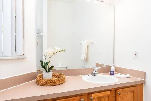 Your Home Away from Home! photo 31