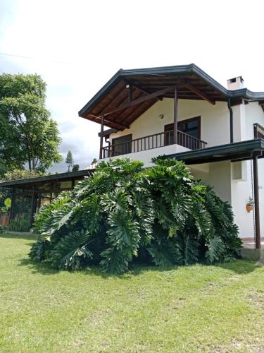 una casa con un grande cespuglio di fronte di Hermosa Villa La Laja Rionegro a Rionegro