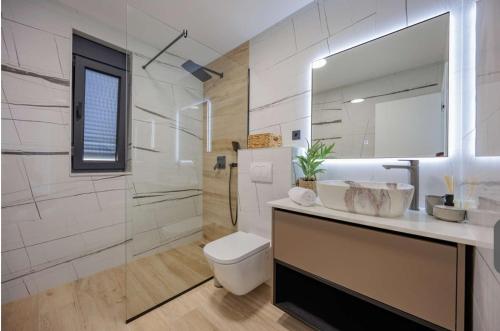 a bathroom with a toilet and a sink and a shower at Villa NIKSUN in Bibinje