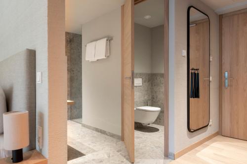 a bathroom with a toilet and a mirror at Seegut Zeppelin in Friedrichshafen