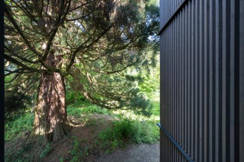 a tree next to a fence next to a tree at Seegut Zeppelin in Friedrichshafen