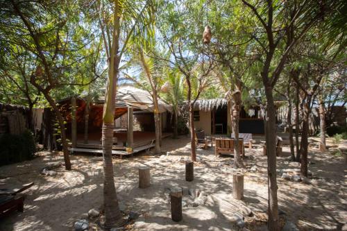 a house in the middle of a forest of trees at AguaMar Vichayito in Los Órganos