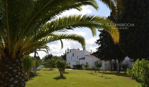 a palm tree in front of a white house at Vilas Marrocha in Porches