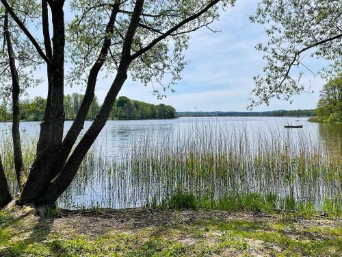 a lake with a tree and a boat in the water at 8 person holiday home in SKIVARP in Skivarp