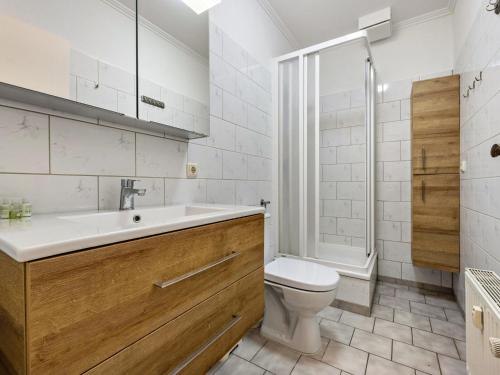 BuchholzFerienwohnung in der Mecklenburger Seenplatte的浴室里有马桶、洗手池和淋浴。