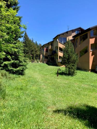 Κήπος έξω από το Studio cabine chaleureux à Pyrénées 2000 - WiFi et parking privé