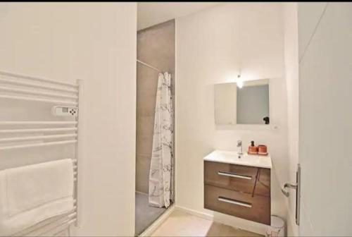 une salle de bain avec une douche, un lavabo et une baignoire dans l'établissement Le lumineux P3 de Cristiano, à Nîmes