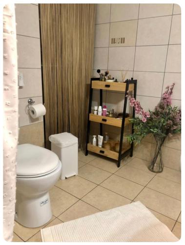 ein Badezimmer mit einem WC und einem Regal mit Pflegeprodukten in der Unterkunft Rosemary modern house in the city center in Korinthos