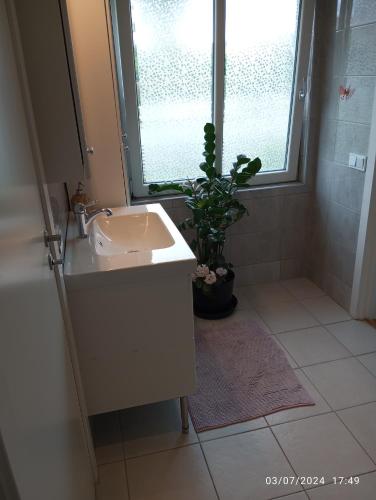 Gallery image of White Flowers lägenhet in Jönköping