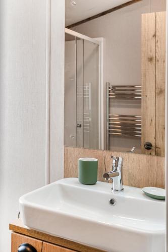 a bathroom with a white sink and a mirror at Aberdunant Hall in Porthmadog