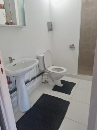 une salle de bain blanche avec des toilettes et un lavabo dans l'établissement Apparemment lumineux, à Pierrefitte-sur-Seine